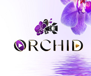Orchid